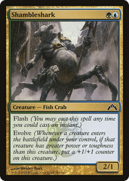 Shambleshark