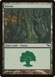 Forest