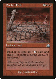 Barbed Field