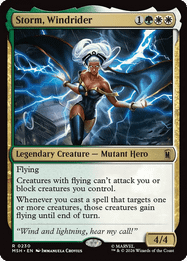 Storm, Windrider