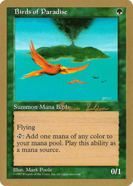 Birds of Paradise