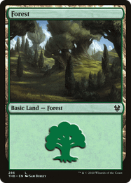 Forest