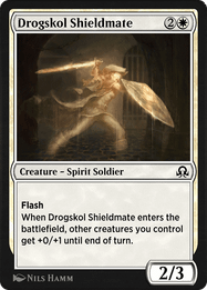 Drogskol Shieldmate