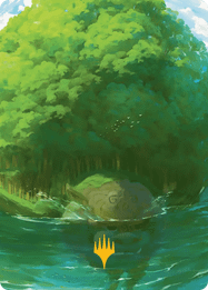 Forest // Forest