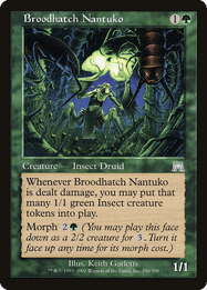 Broodhatch Nantuko