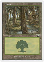 Forest