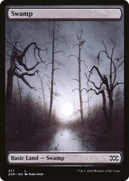 Swamp