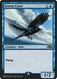 Storm Crow