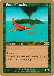 Birds of Paradise