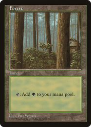 Forest