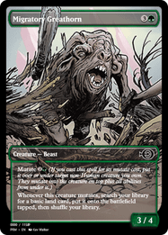 Migratory Greathorn