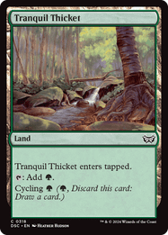 Tranquil Thicket