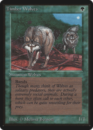 Timber Wolves