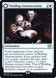 Wedding Announcement // Wedding Festivity