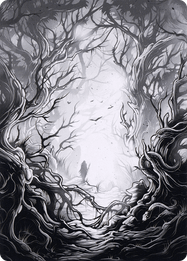 Forest // Forest