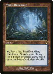 Misty Rainforest