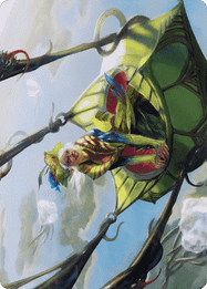 Nael, Avizoa Aeronaut // Nael, Avizoa Aeronaut