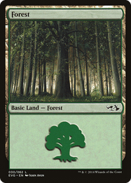 Forest