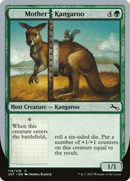 Mother Kangaroo