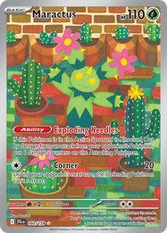 Maractus