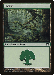 Forest