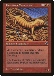 Flowstone Salamander