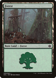 Forest