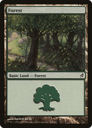 Forest