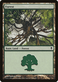 Forest