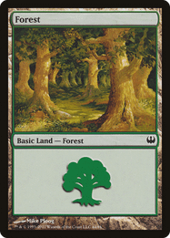 Forest