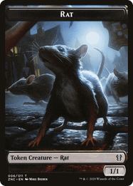 Rat