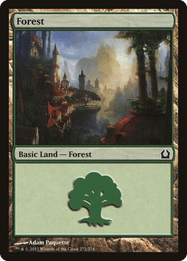 Forest