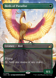Birds of Paradise