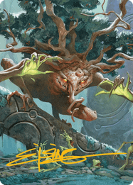Ferrafor, Young Yew // Ferrafor, Young Yew