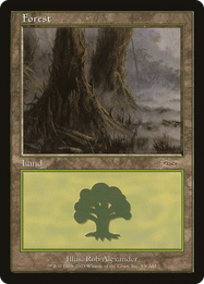 Forest