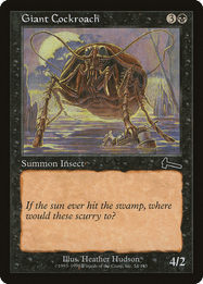 Giant Cockroach