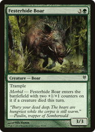 Festerhide Boar