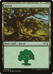 Forest