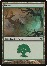 Forest