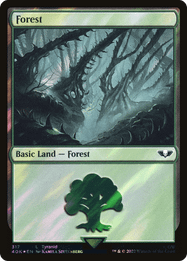Forest
