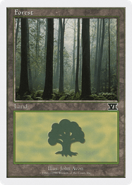 Forest