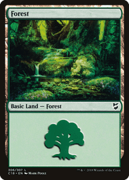 Forest