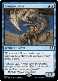 Synapse Sliver