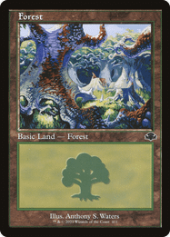 Forest