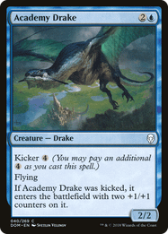 Academy Drake