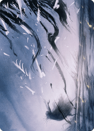 Shadow Prophecy // Shadow Prophecy