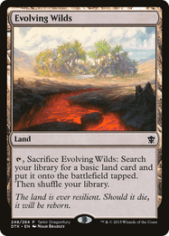 Evolving Wilds