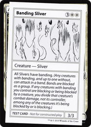Banding Sliver