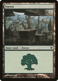 Forest